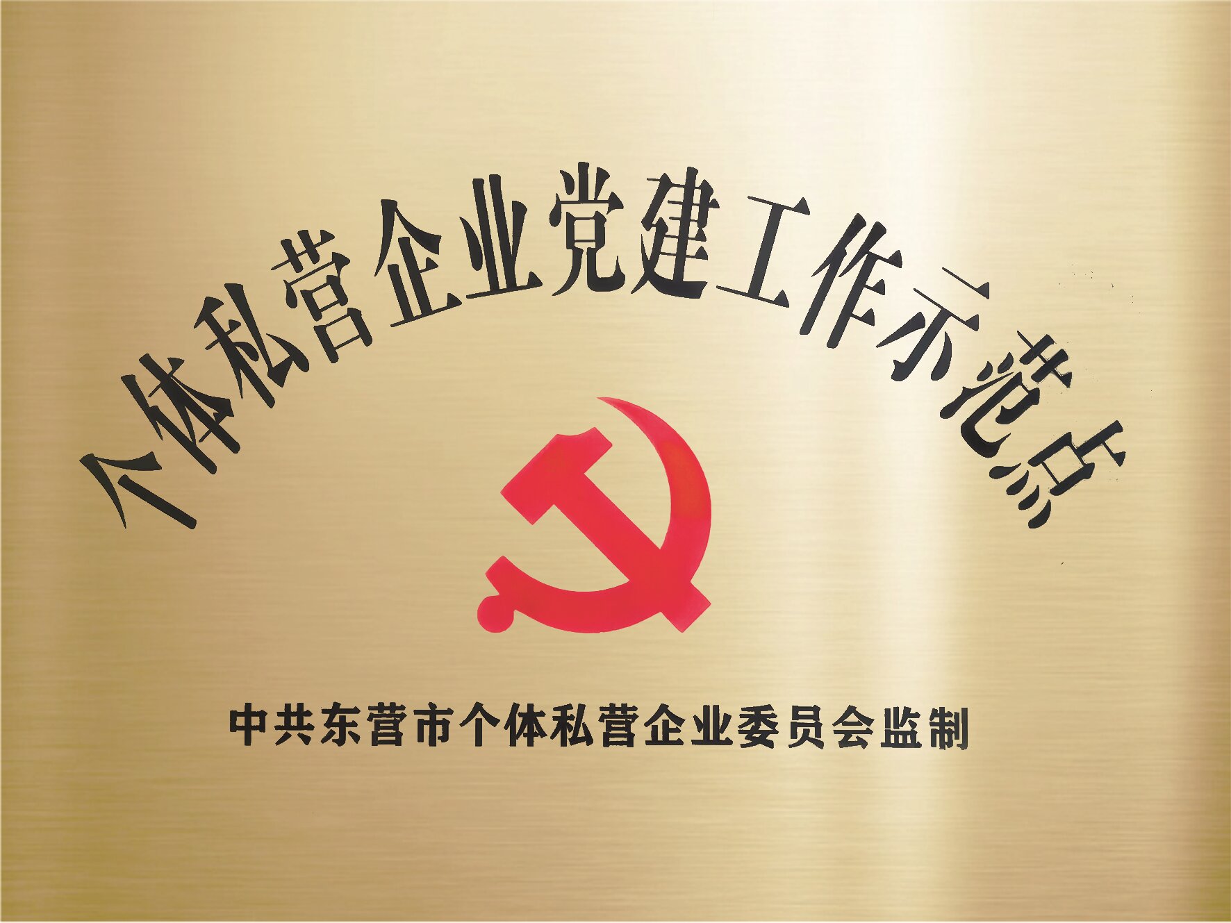 凤凰制药公司生产支部委员会荣获“市级个体私营企业党建工作示范点”